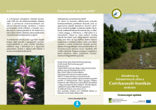 Küzdelem az özönnövények ellen a Csévharaszti-borókás területén