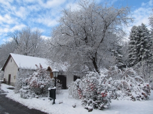 Jókai-kert télen (Fotó: Kővári Anita)