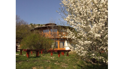 Tavasz a Sas-hegyen (fotó: Pethő Judit)
