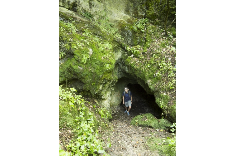  Jankovich-barlang 4