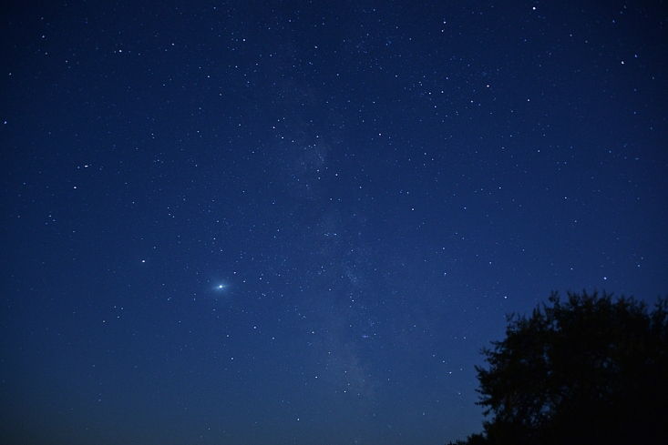 Csillagos este a Dinnyési-fertőn (Fotó: Berkó Gyöngyi)