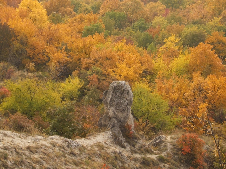 Sas-hegyi sziklák (Fotó: Pethő Judit)