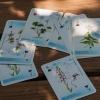 A DINPI védett növényei francia kártya
