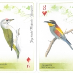 A Duna-Ipoly Nemzeti Park védett madarai, francia kártyacsomag