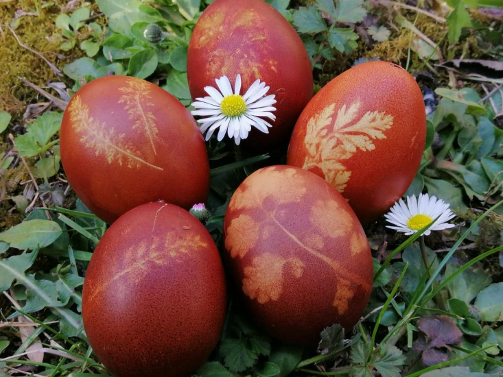 Berzselt tojások (Vatai Anna)