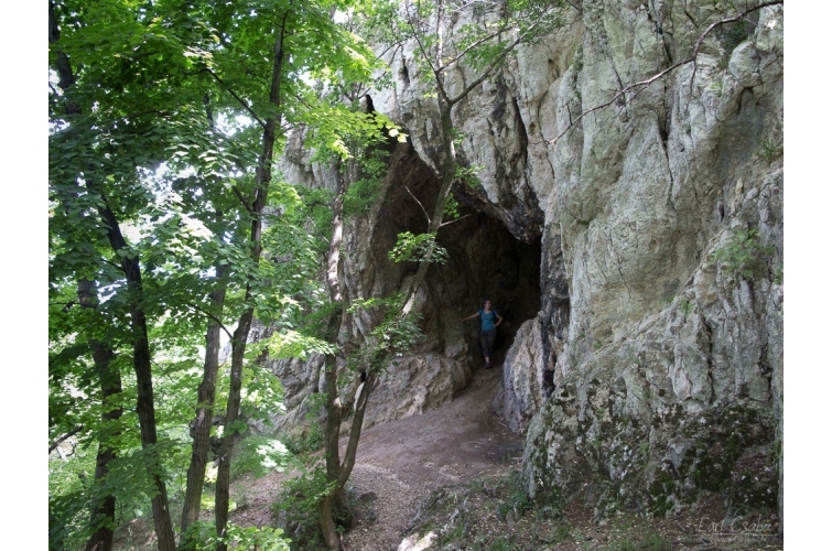 Csévi-barlang 7