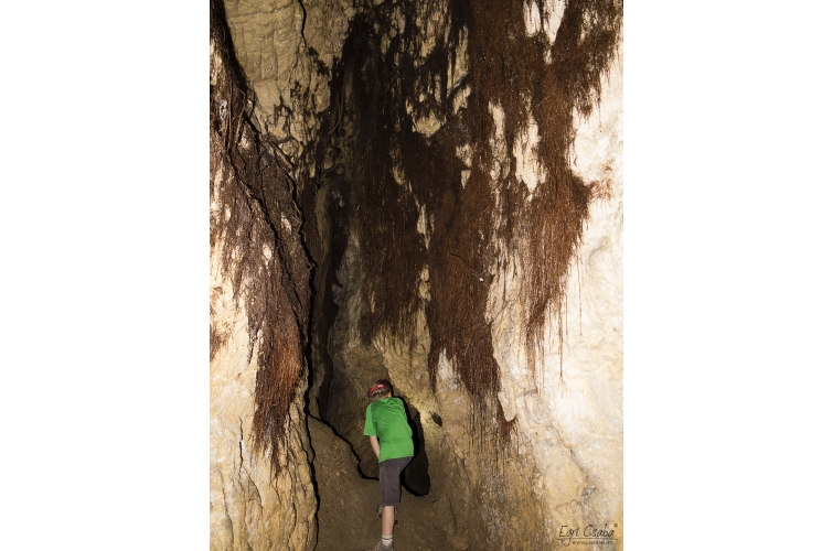 Csákvári-barlang 2