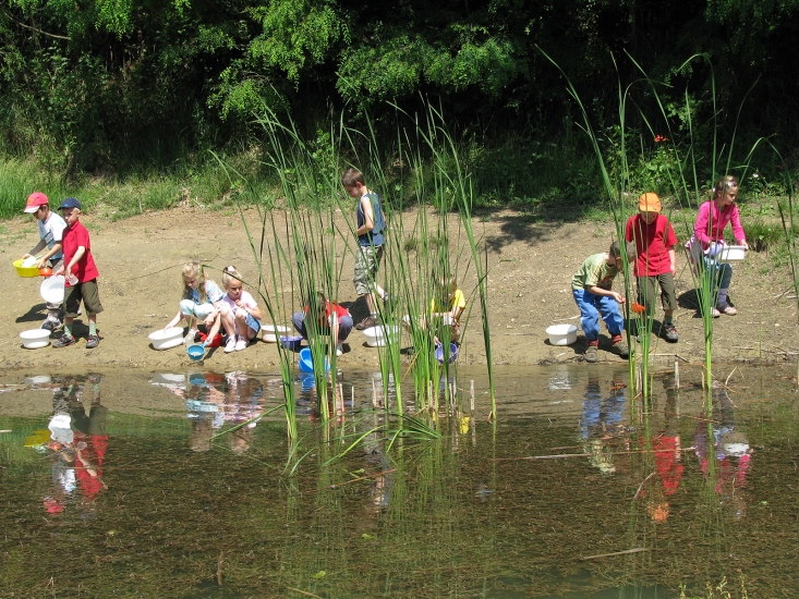 Iskolai csoport vízbiológia foglalkozása a Jági-tó partján