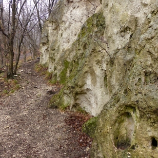 Csákvári Haraszt-hegy fülkés sziklája