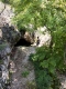 Sobri Jóska barlangja 4