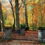 Az Arborétum ősszel (fotó: Gehring János)