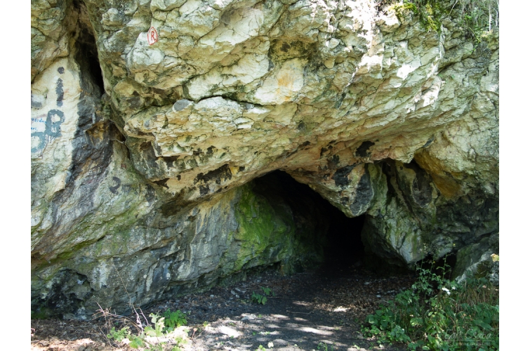 Oroszlánkői-barlang 5