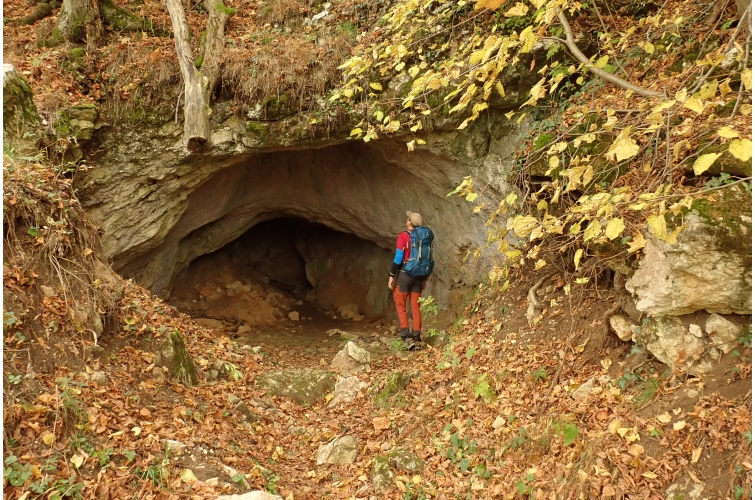 Zöld-barlang