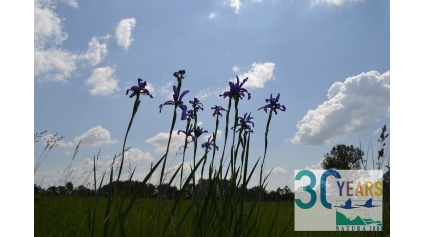 A Natura 2000 nap alkalmából megtartott program 2.