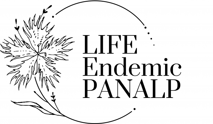 life endemic panalp logo